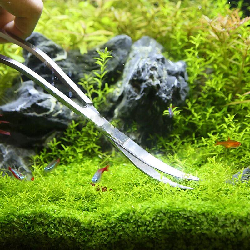 Aquarium Maintenance Tools