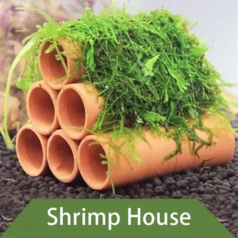 Ceramic Aquarium Shelters